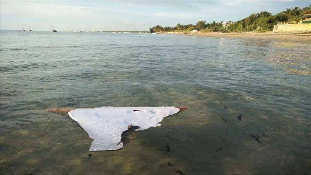 莫桑比克疑尋獲失蹤馬航客機碎片