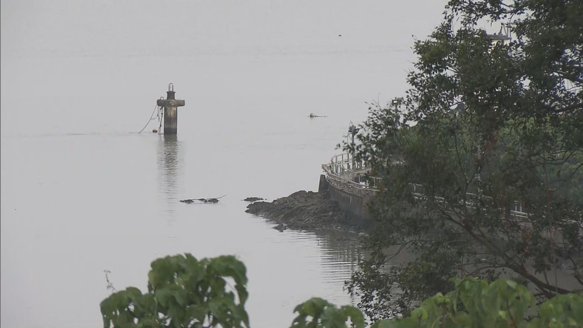 漁護署外判工流浮山海上工作時墮海不治