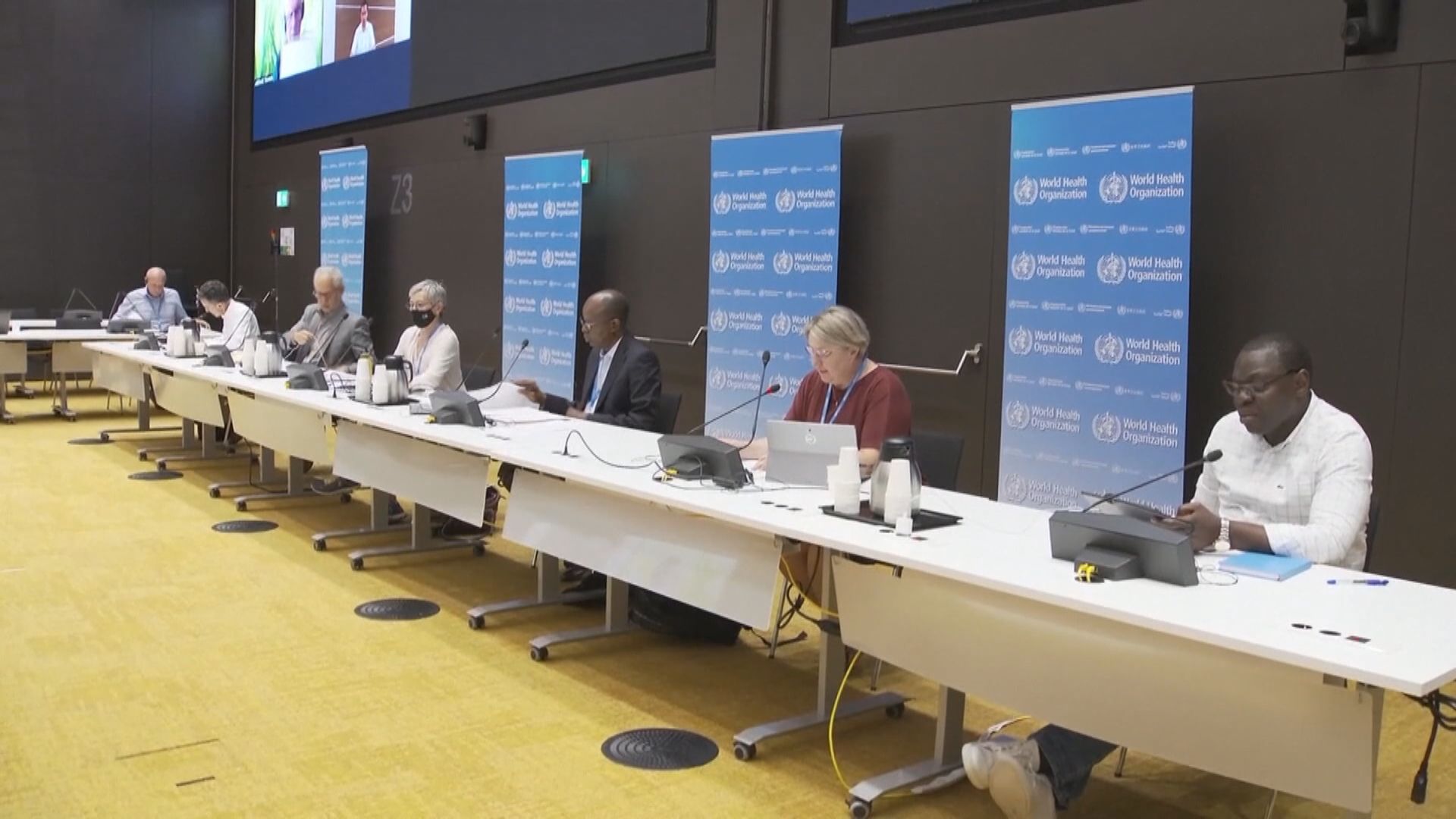 世衛討論是否將猴痘列為國際關注的公共衞生突發事件