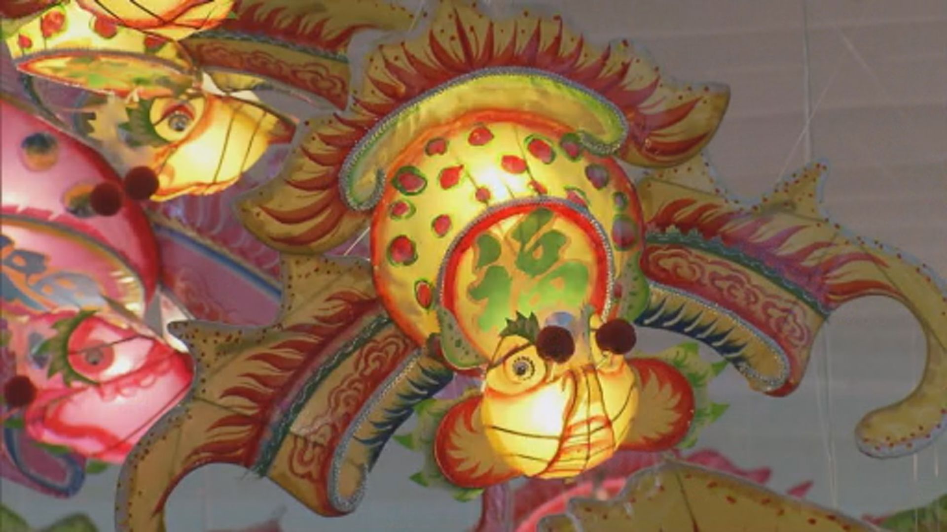 市民中秋賞月　到維園綵燈會過節