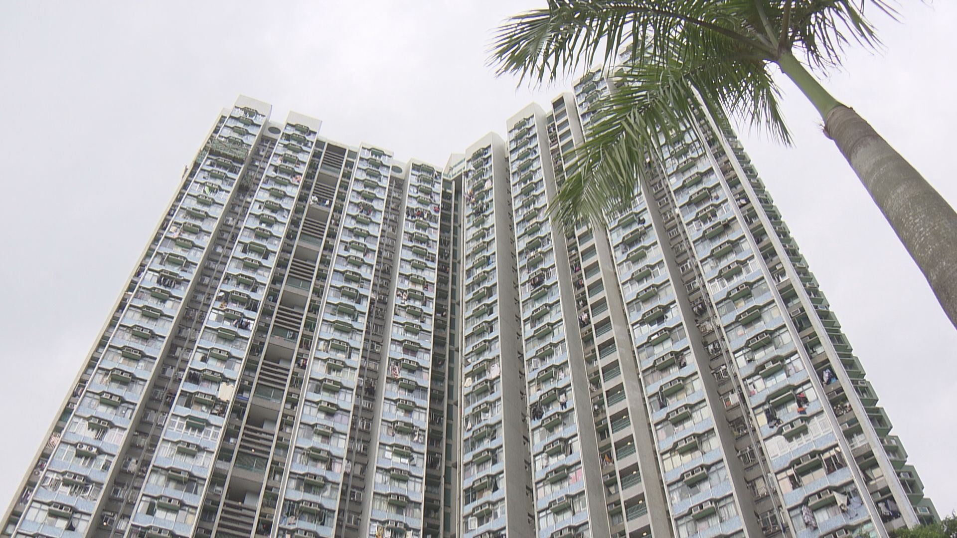 基孔肯雅熱｜本港新增兩宗輸入個案　分別到過中山及深圳