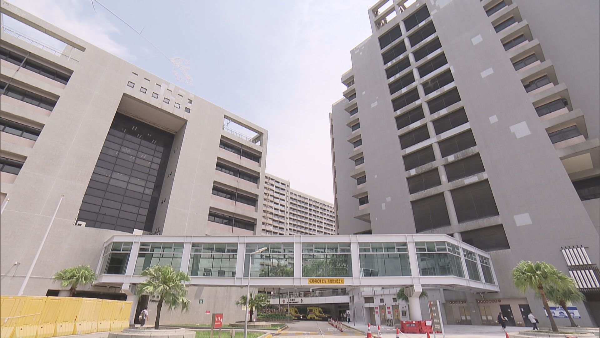 基孔肯雅熱｜27歲女子感染個案　曾到訪肇慶