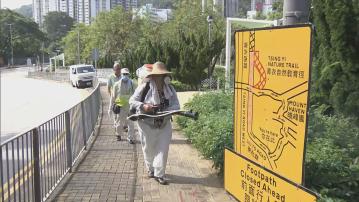 基孔肯雅熱｜新增3宗輸入個案　食環署加強滅蚊