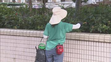 基孔肯雅熱｜增3宗輸入個案　醫生籲外遊回港市民持續用防蚊用品14天