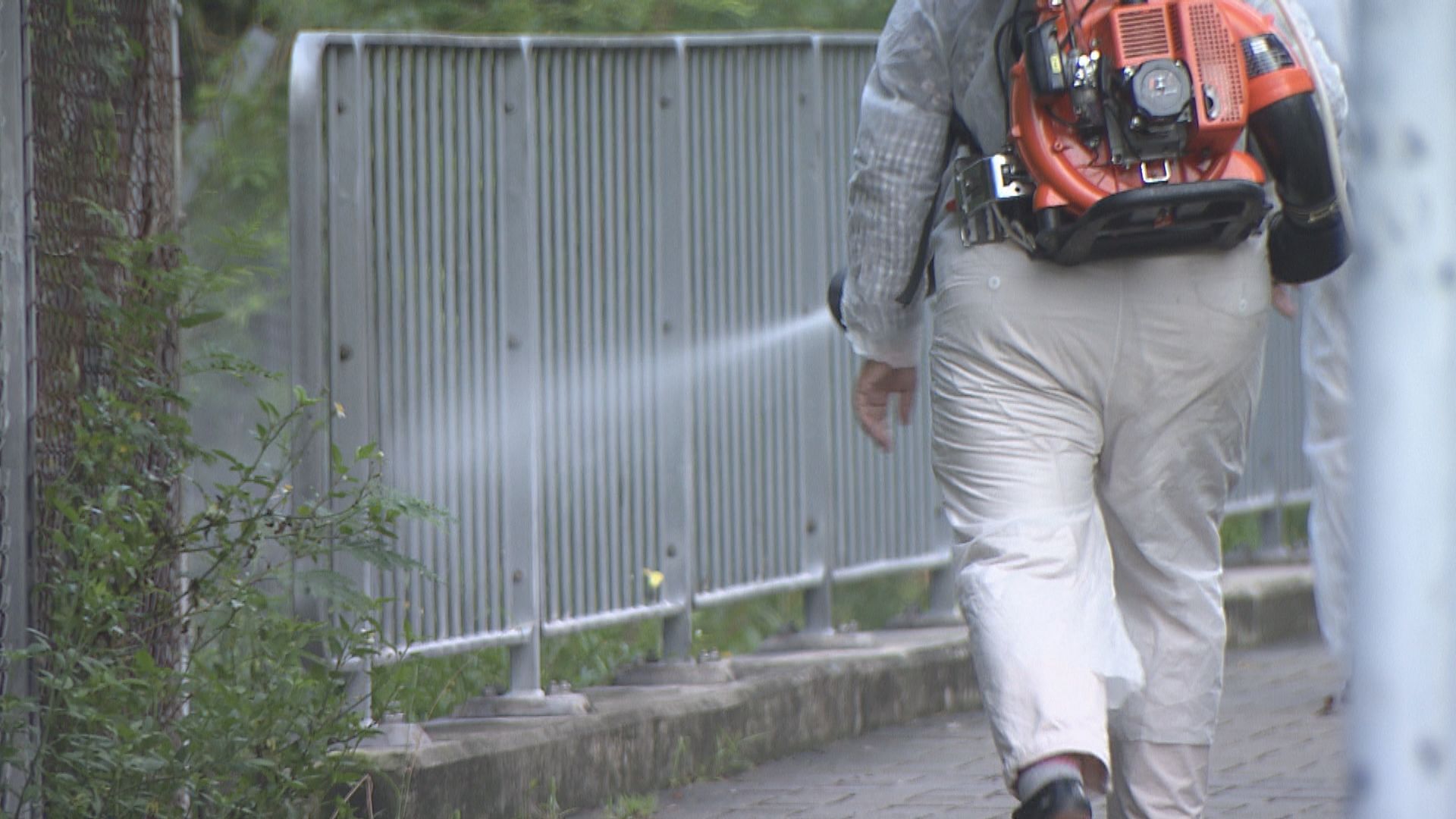 基孔肯雅熱｜59歲食環女職員青衣自然徑滅蚊被蚊咬受感染