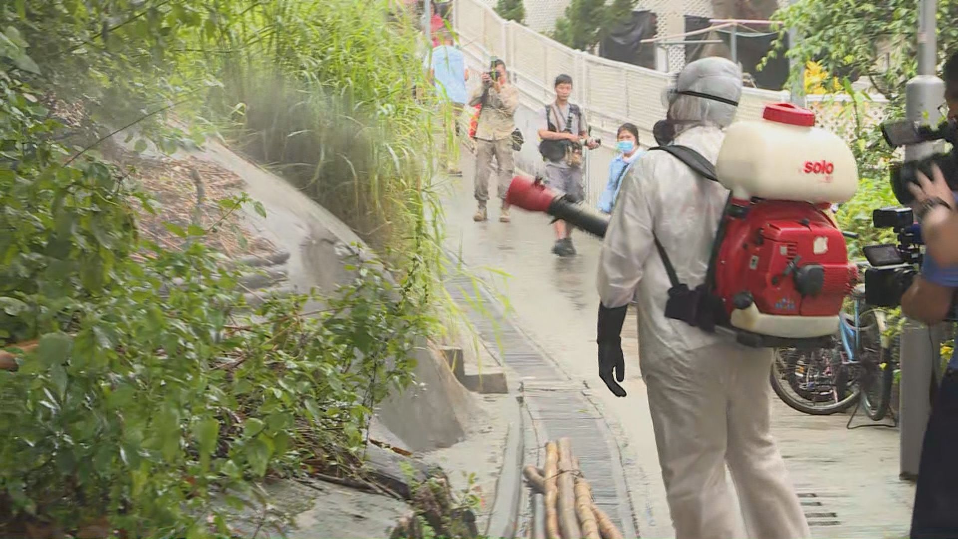 兩宗長洲登革熱個案感染源頭證實相同