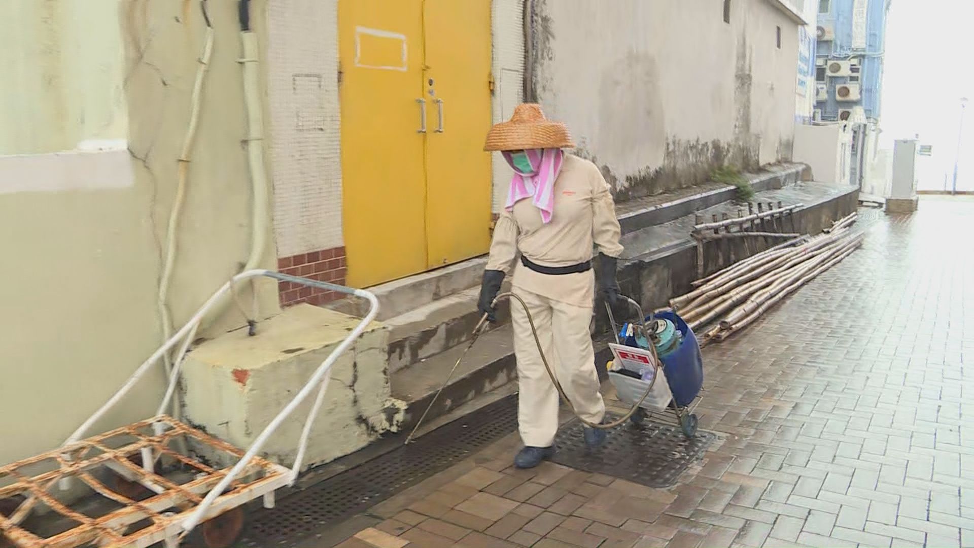 食環署派員到長洲全島滅蚊