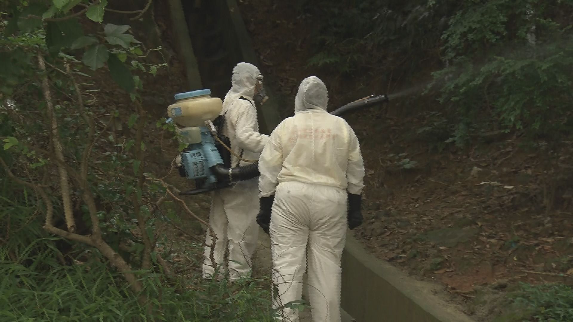 專家估計本地登革熱個案或是第二代傳播