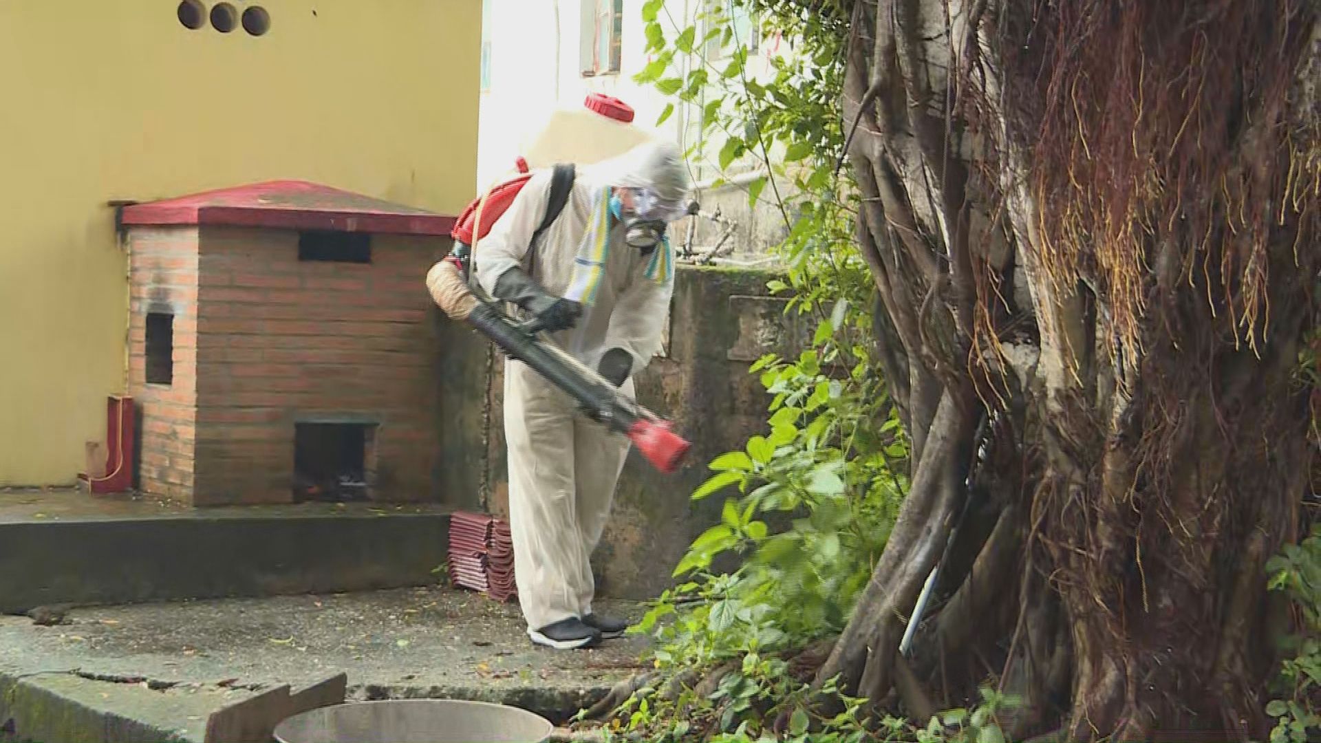 食衛局料仍會有新增本地登革熱個案