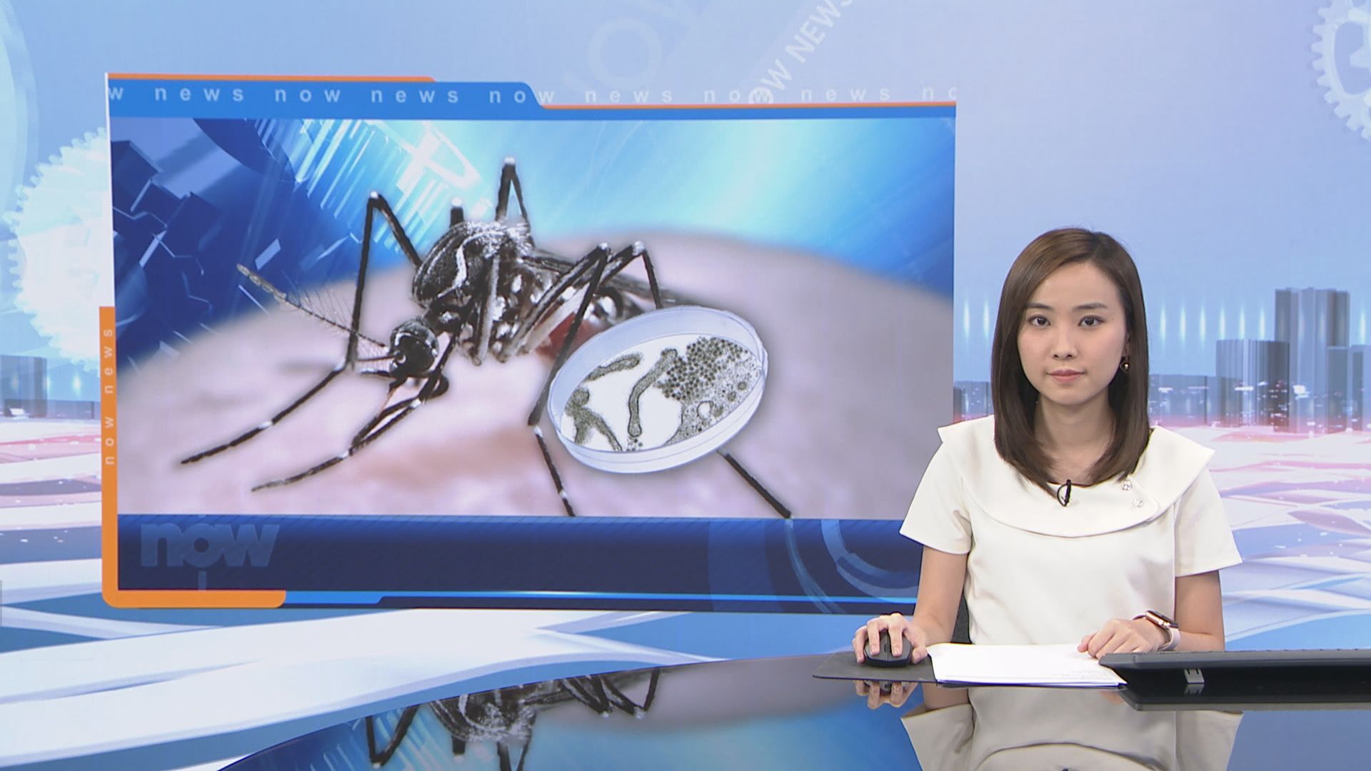 上月白紋伊蚊誘蚊產卵器指數達15.7%