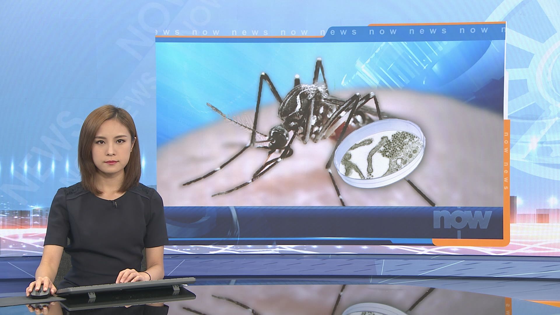 13地區白紋伊蚊誘蚊產卵器指數達警戒水平