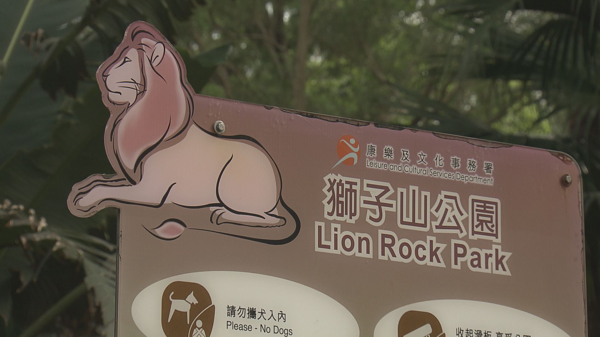 獅子山公園未定重開時間