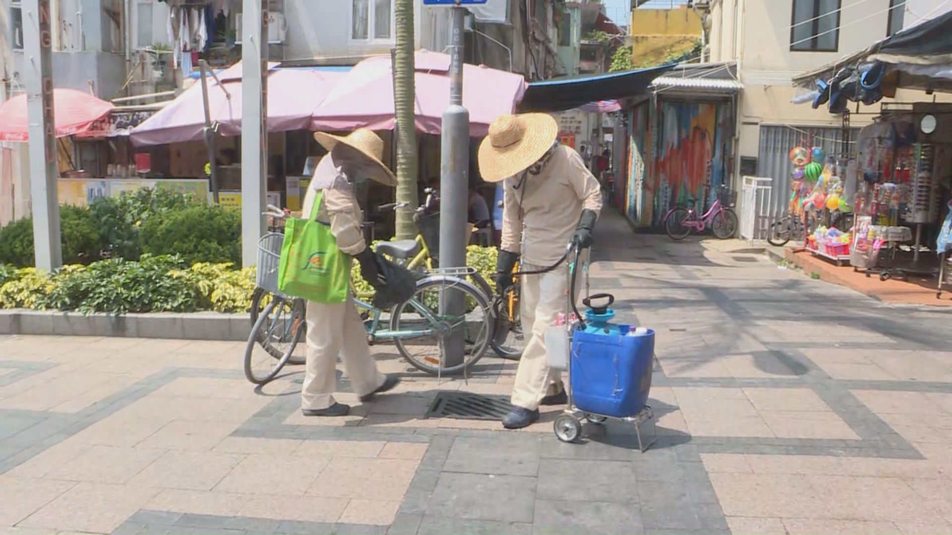消息：本港再多一宗本地登革熱個案