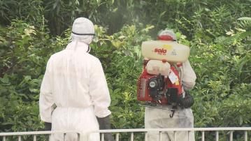 基孔肯雅熱｜政府跨部門防治蟲鼠督導委員會討論預防措施