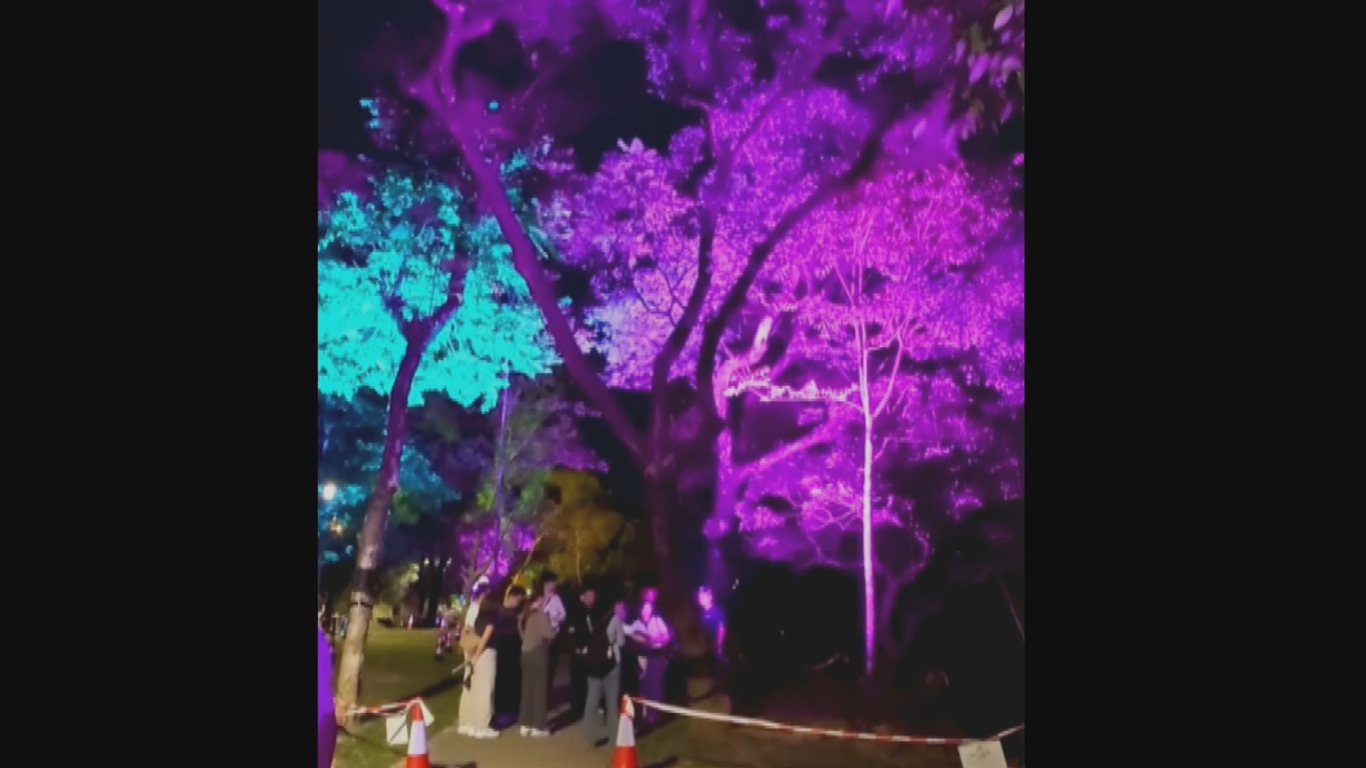 山頂步行徑設燈光裝置惹爭議　羅淑佩：計劃非鐵板一塊
