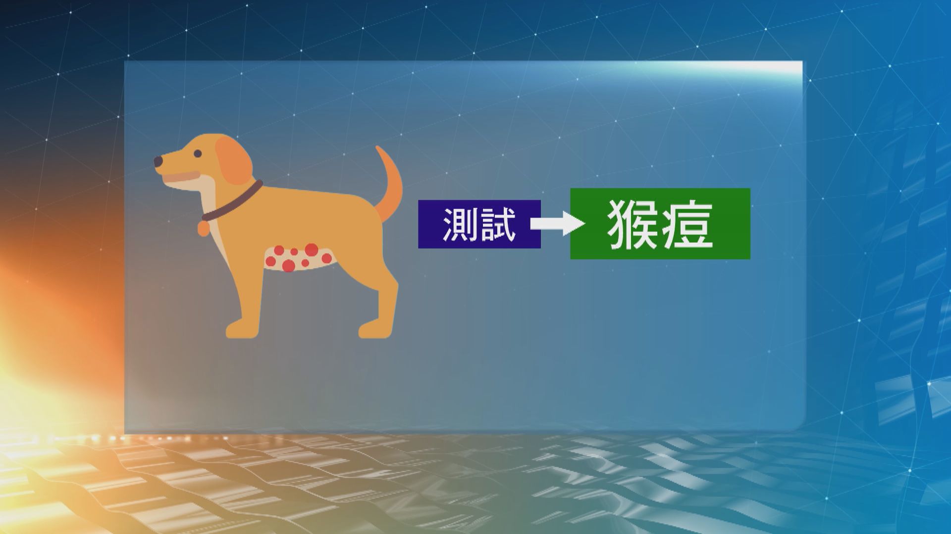 法國出現首宗懷疑寵物犬遭主人傳染猴痘個案