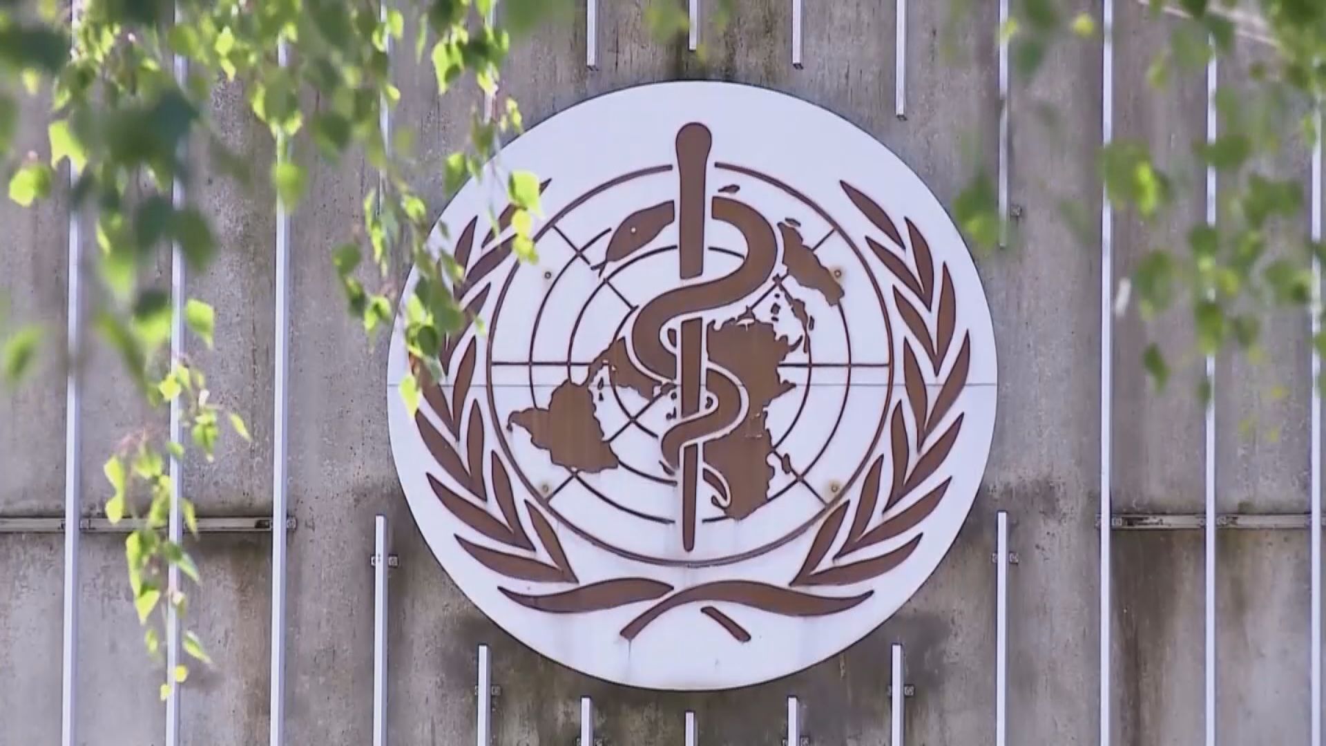 世衛調查兒童感染猴痘個案　憂病毒傳播至高危群組