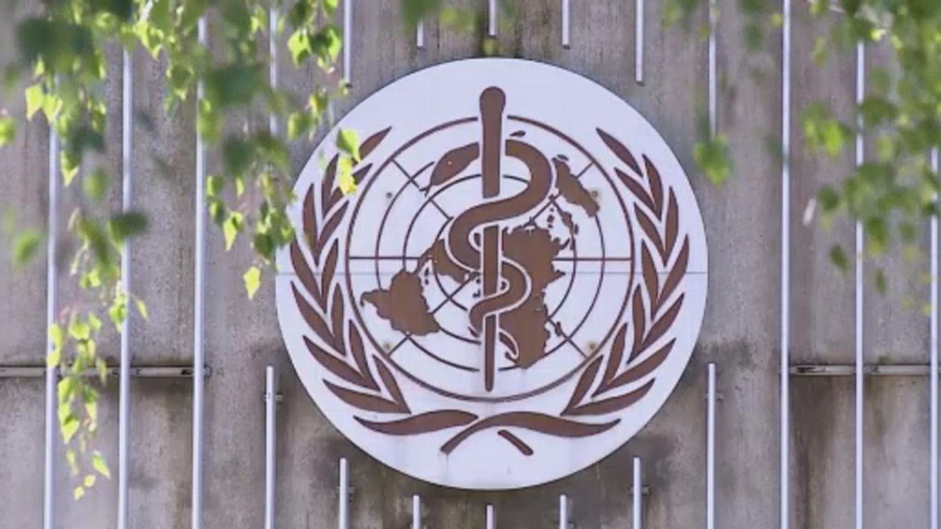 世衛指首半年接獲5322宗猴痘個案報告