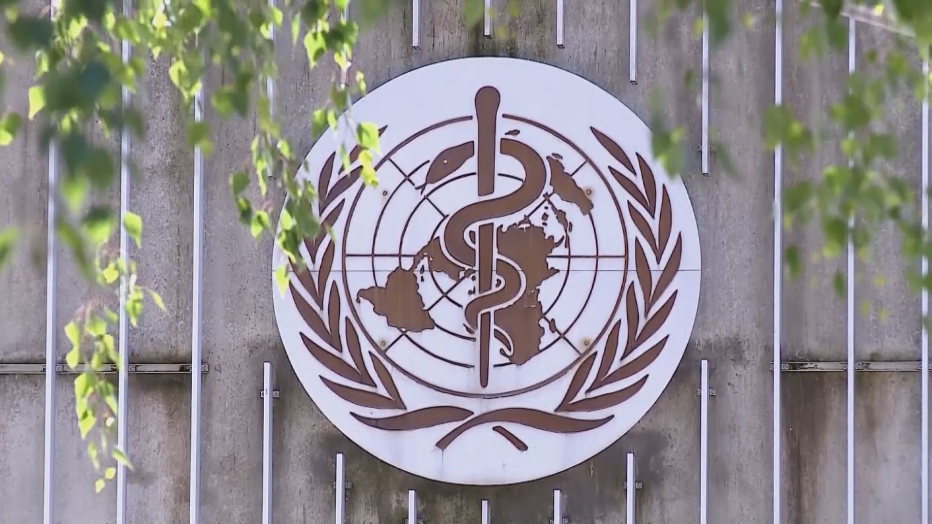 世衛指全球猴痘個案達1萬4千宗