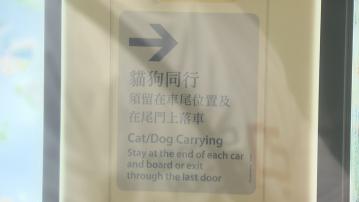 輕鐵九月起落實貓狗同行計劃