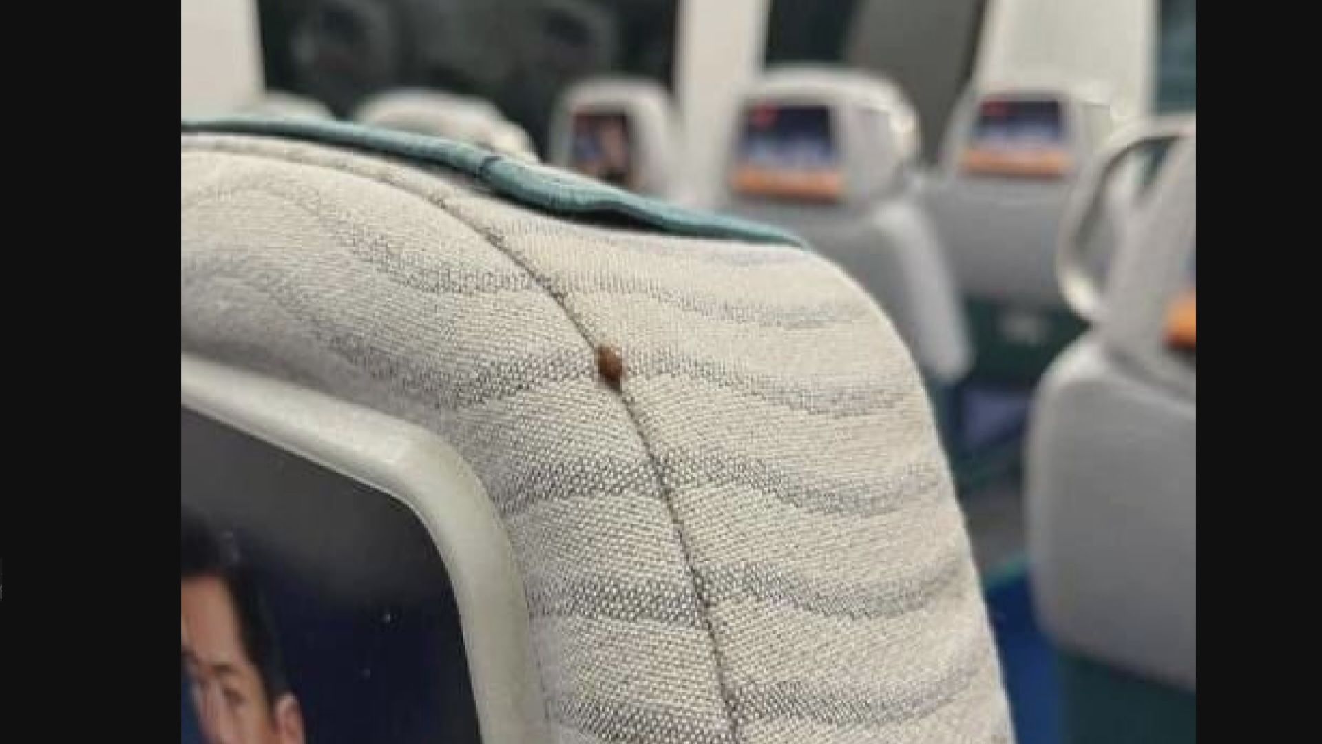 港鐵：未發現機場快綫列車出現床蝨
