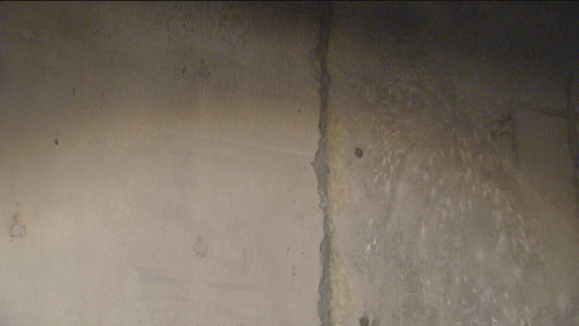 潘焯鴻否認中科向傳媒揭發剪鋼筋