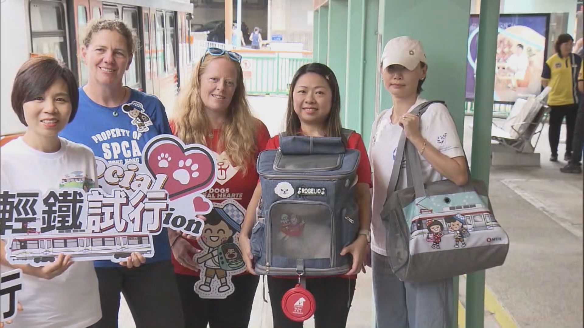 輕鐵即日起啟動「貓狗同行」　狗主歡迎冀未來放寬大狗限制
