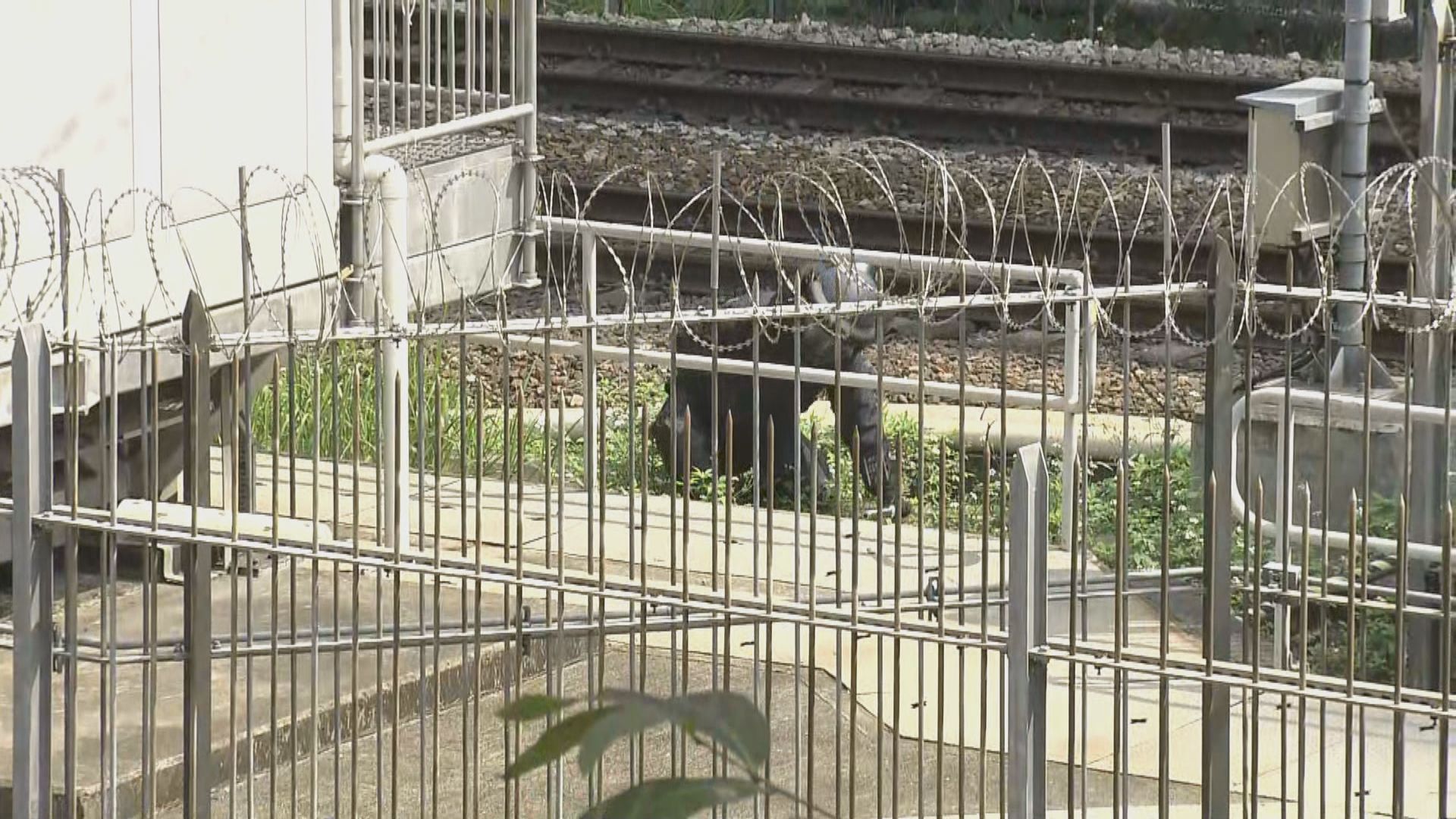 東鐵路軌發現懷疑爆炸品　列車服務一度暫停