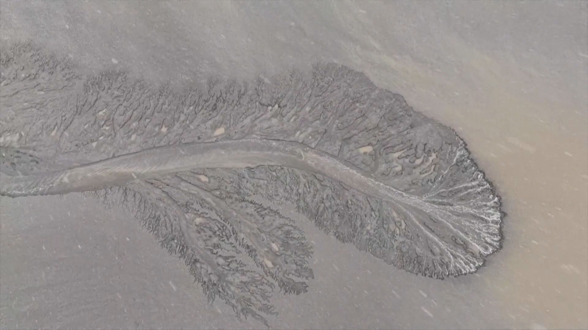 MV共賞｜錢塘江出現罕見冰封潮汐樹奇觀