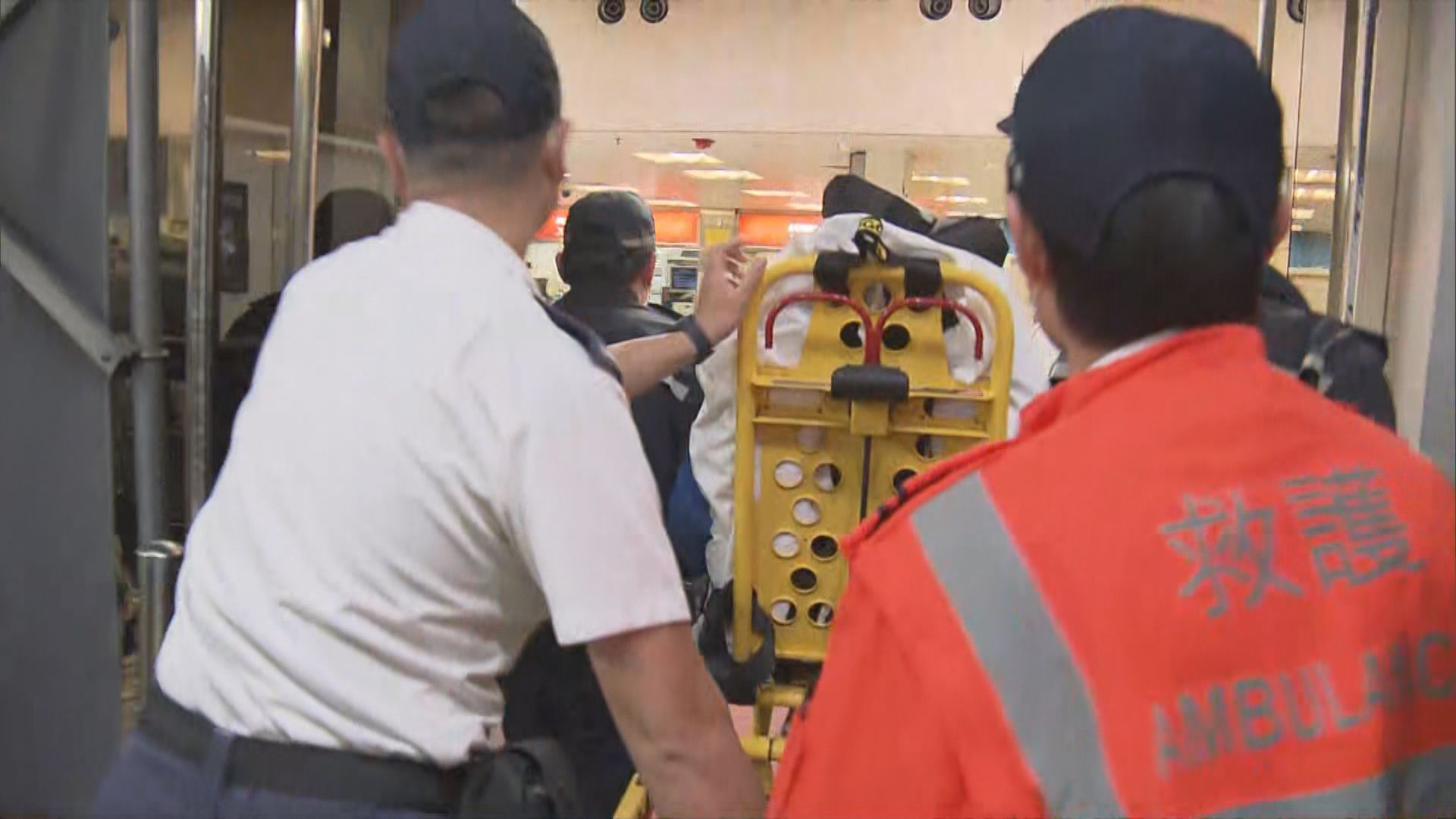 【蔡天鳳碎屍案】前夫東涌潛逃時落網　據知身懷450萬財物