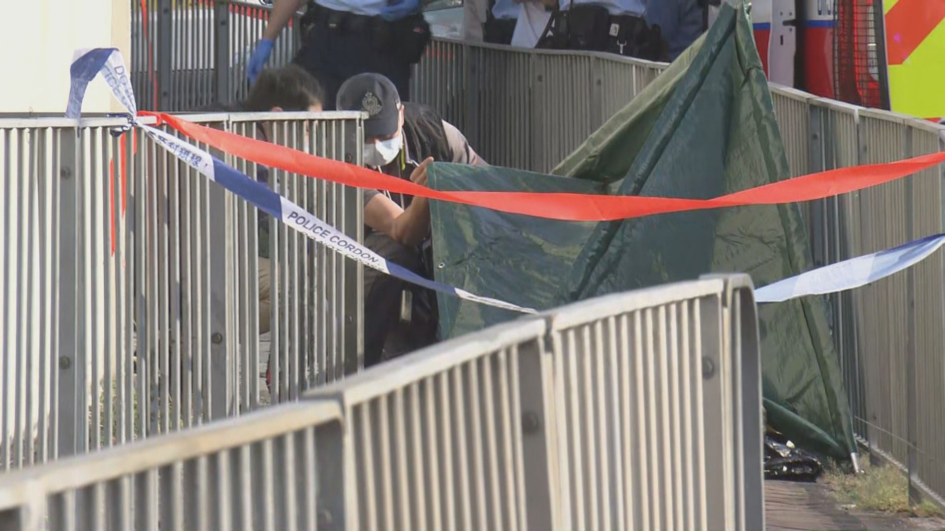 元朗田廈路揭發謀殺案一漢被捕