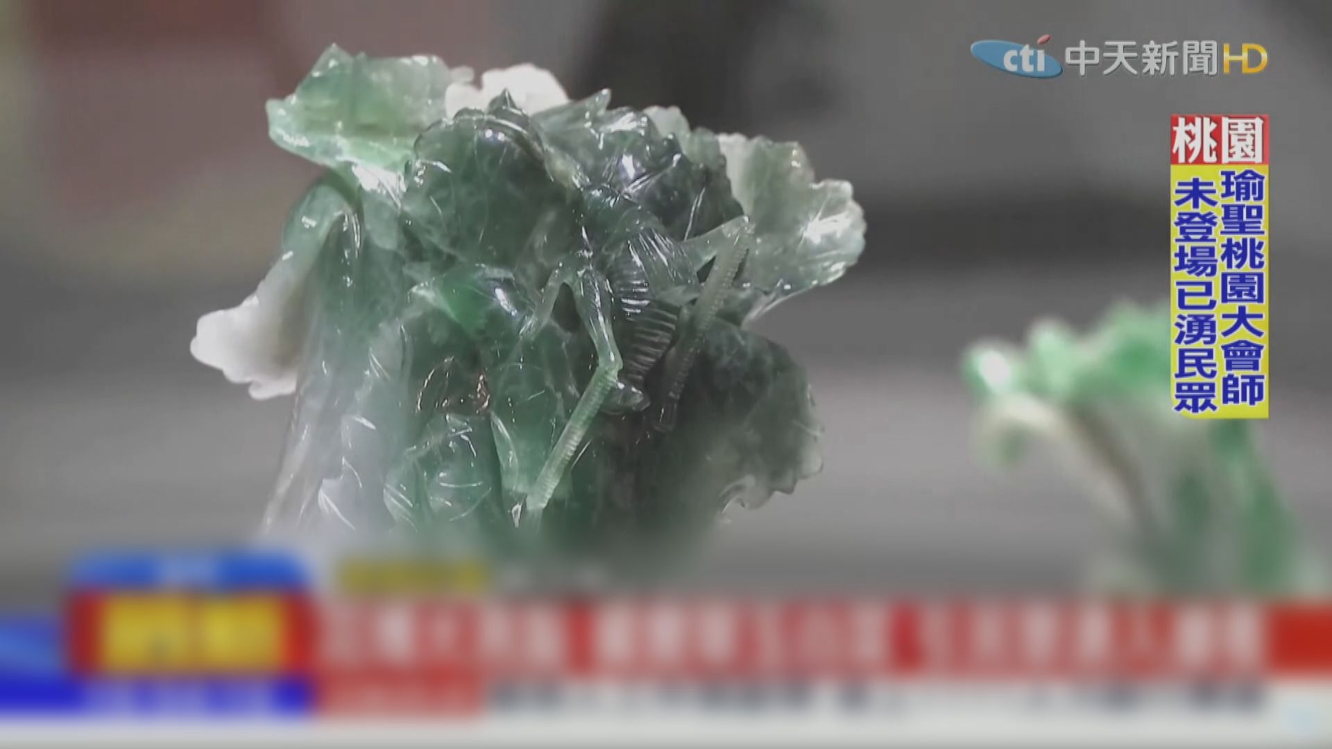 台中花卉博覽展出翠玉白菜　被質疑為了選舉