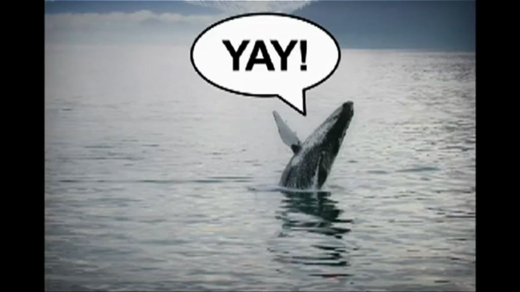 公眾票選名字不被採用惹爭議