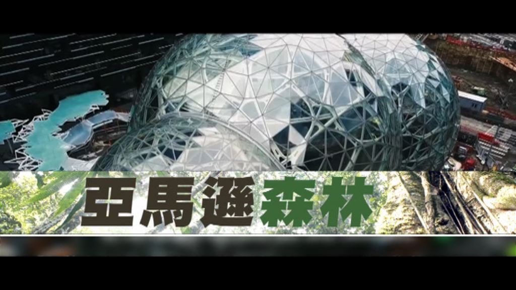 【新聞智庫】亞馬遜森林