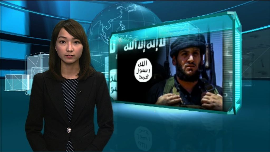 【新聞智庫】阿德納尼之死