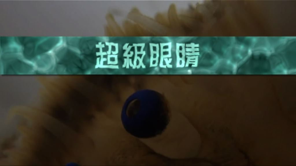 【新聞智庫】超級眼睛