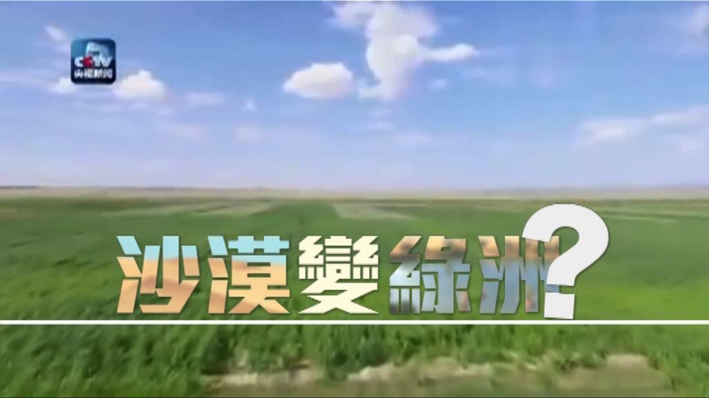 【新聞智庫】沙漠變綠洲？