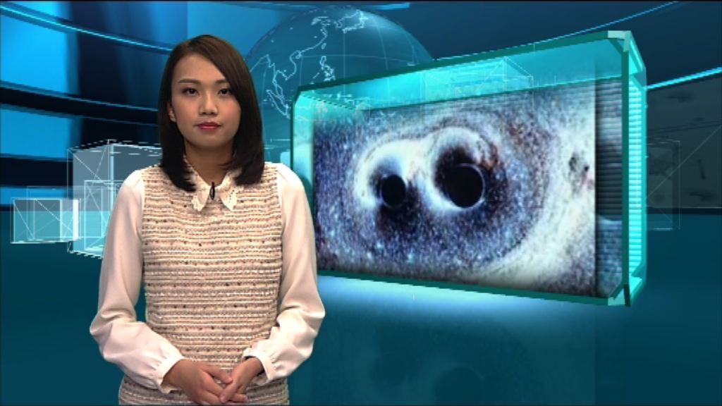 【新聞智庫】愛因斯坦重力波