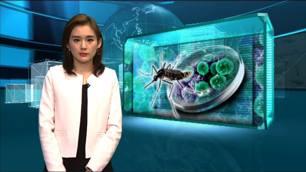 【新聞智庫】寨卡病毒