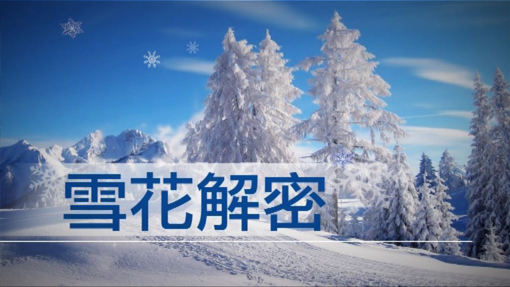 【新聞智庫】雪花解密
