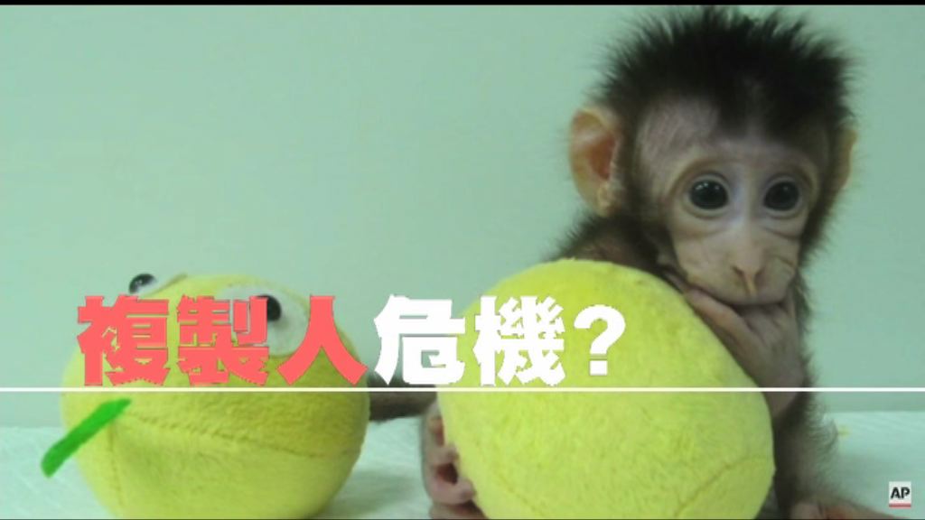 【新聞智庫】複製人危機？
