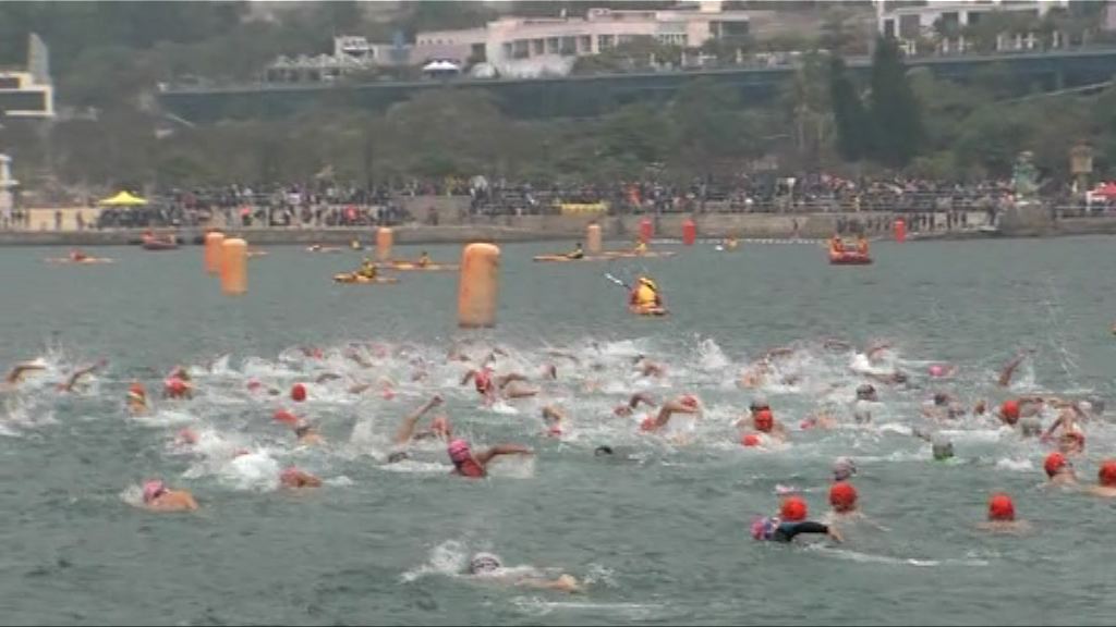 約2500人參加元旦冬泳