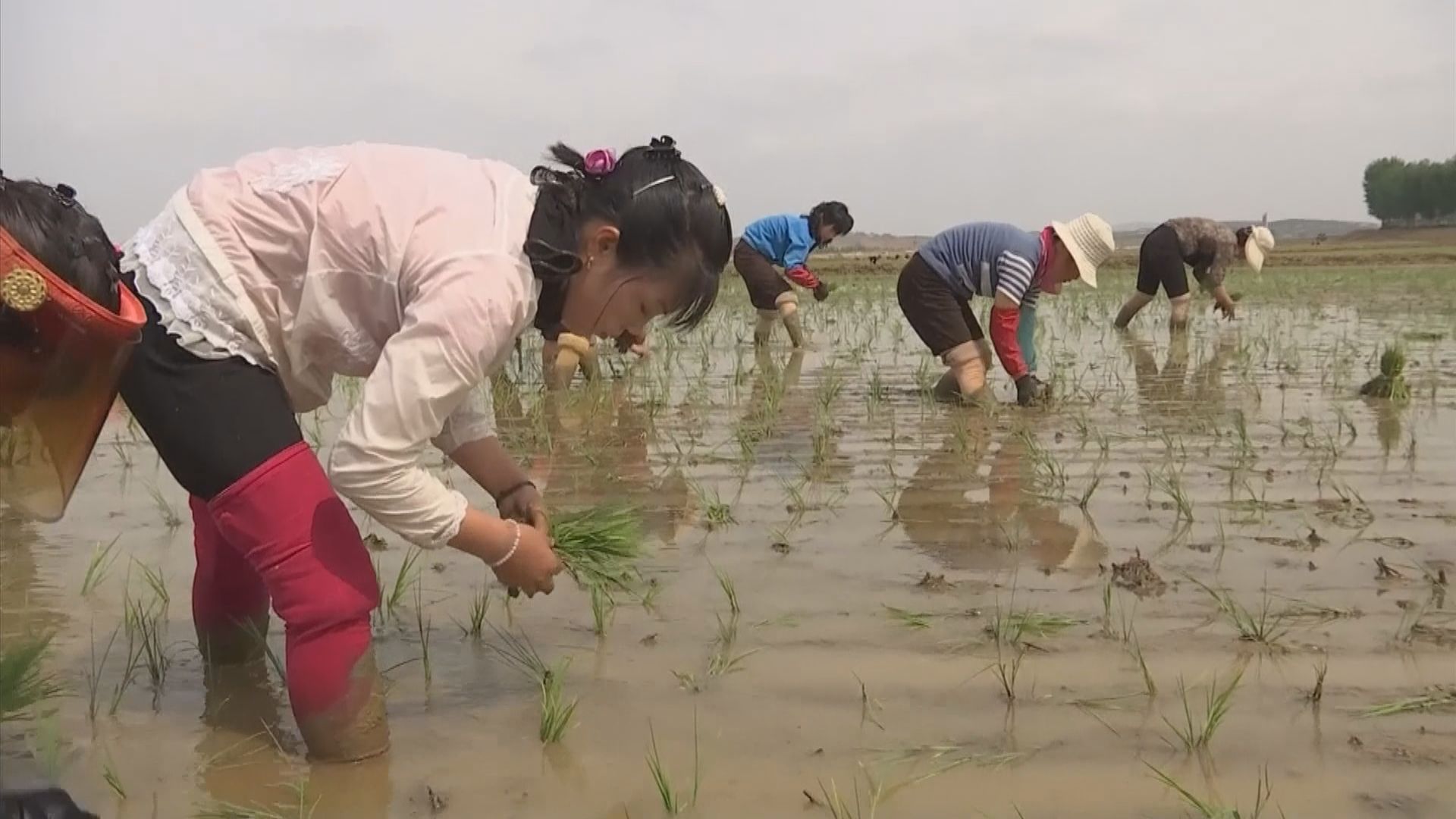 北韓在聯合國首次提及糧食不足及醫藥品短缺問題