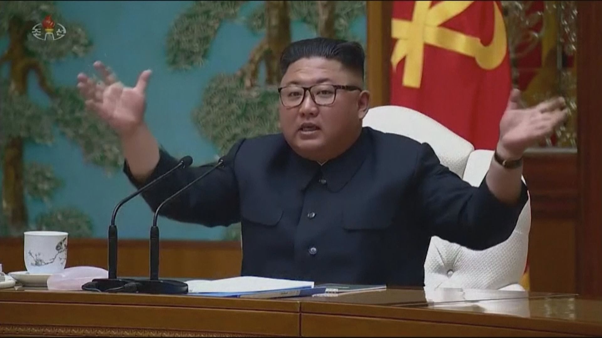 南韓官員認為金正恩仍照常工作