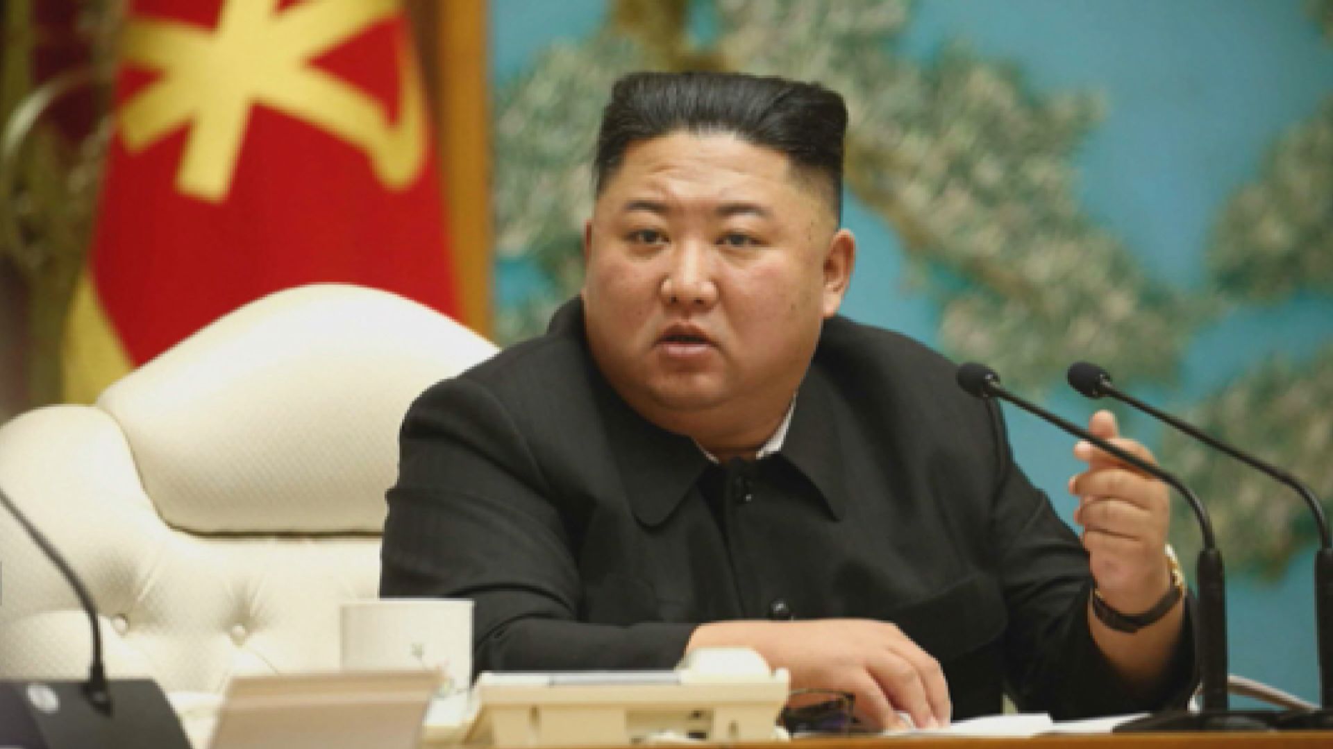 金正恩部署八十日戰鬥加速發展經濟