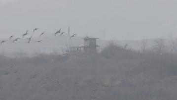 金與正指南韓脫北者再空投傳單 自然會產生麻煩事