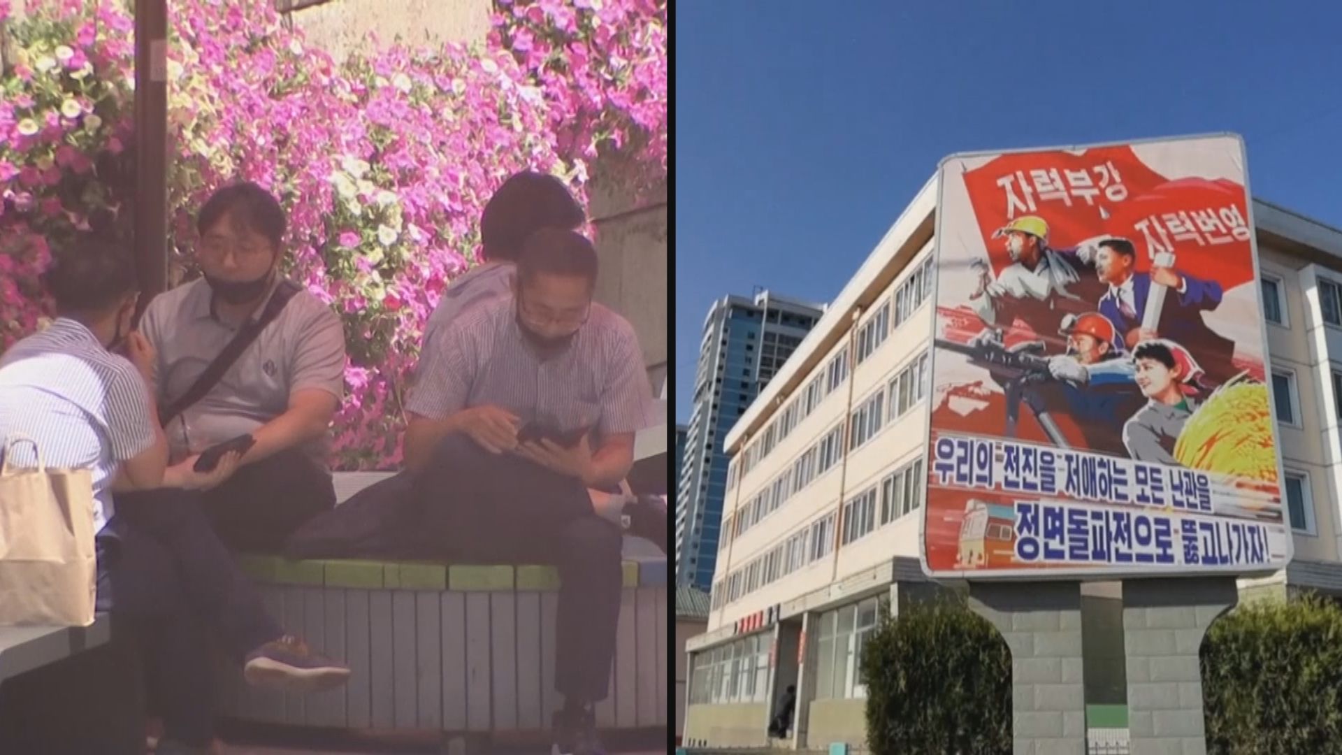 金與正批南韓總統文在寅是「美國養的鸚鵡」