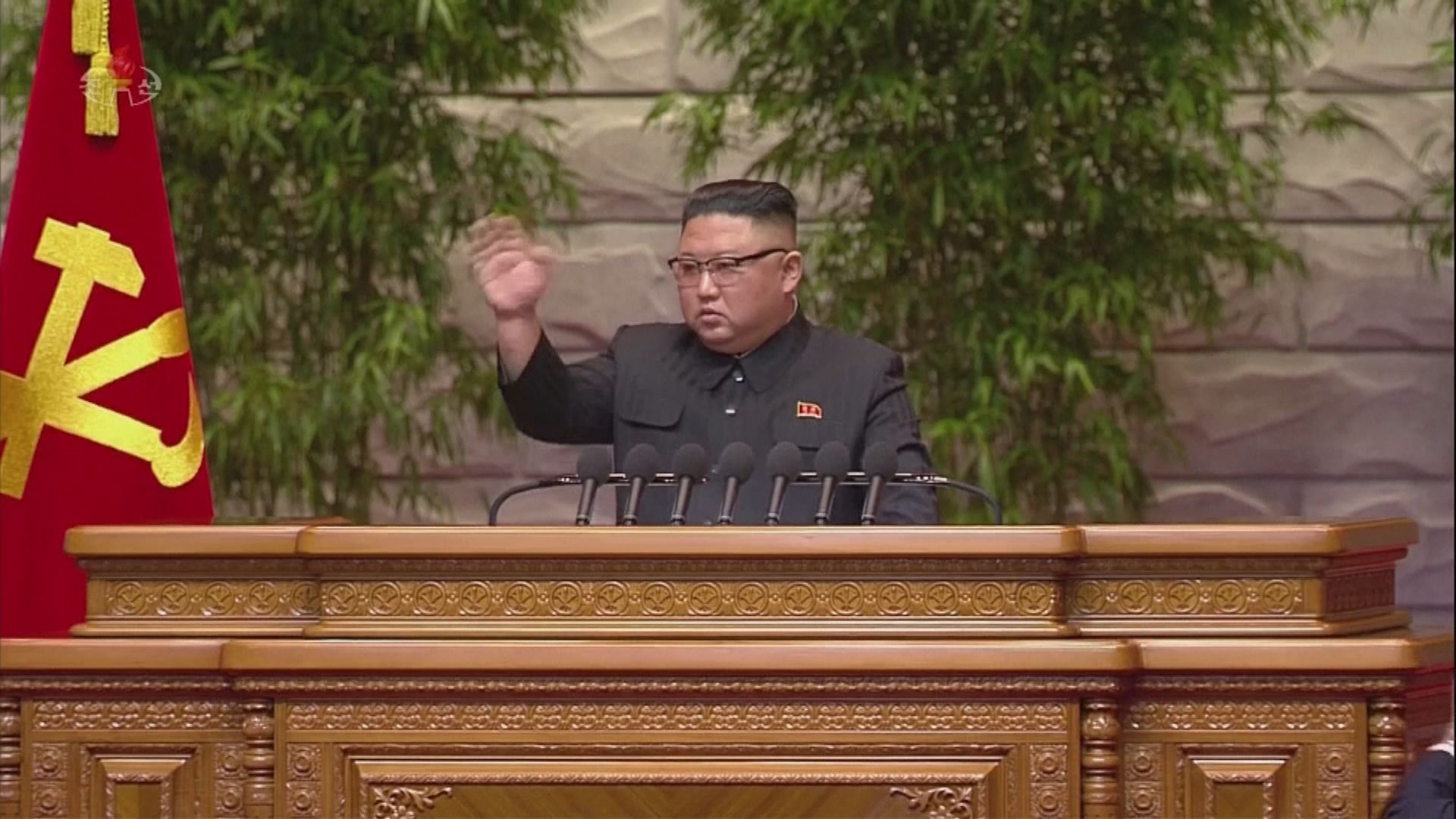 金正恩向海外作戰北韓人民軍部隊致新年賀電