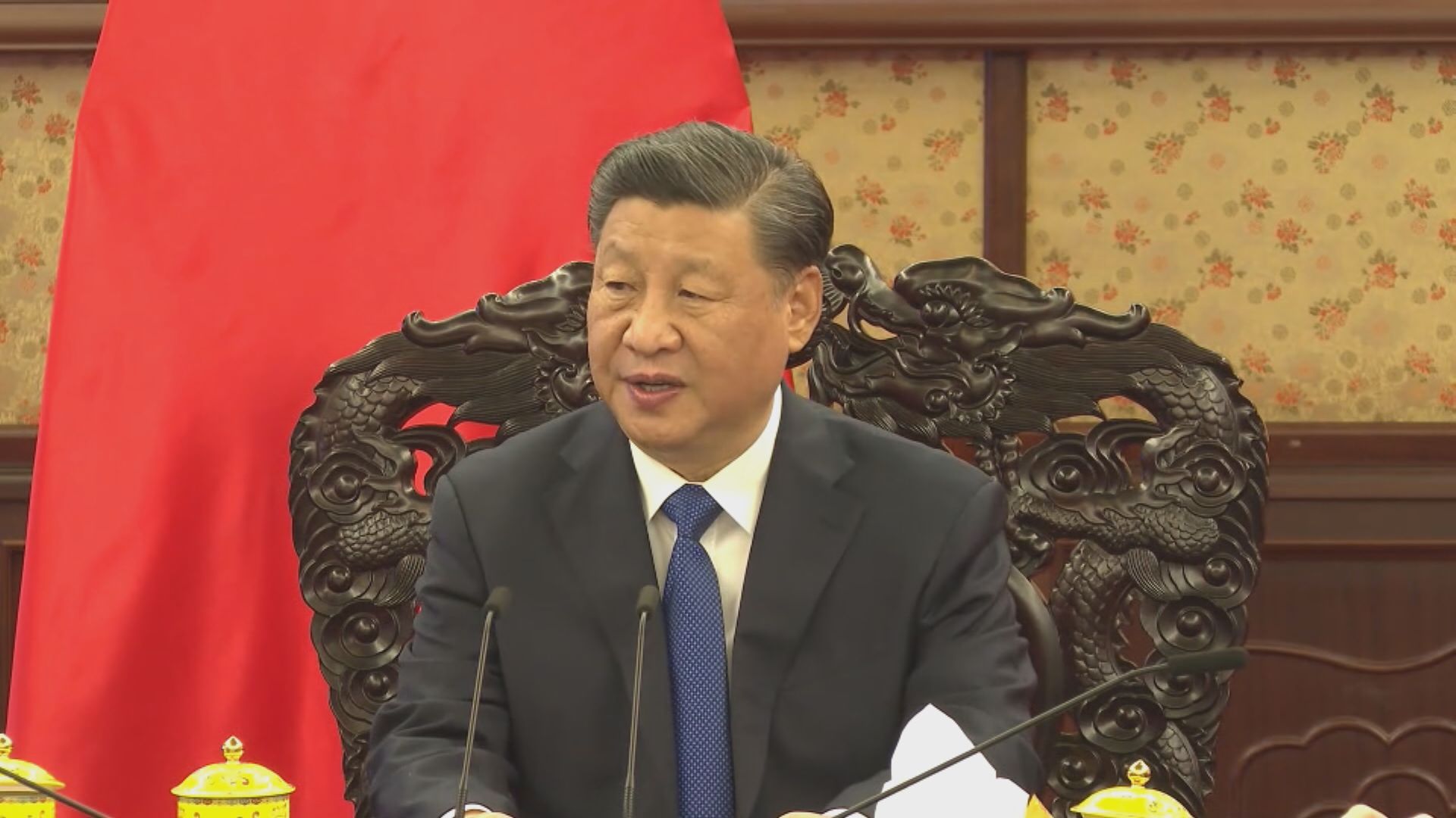 【足本】林鄭月娥向習近平述職