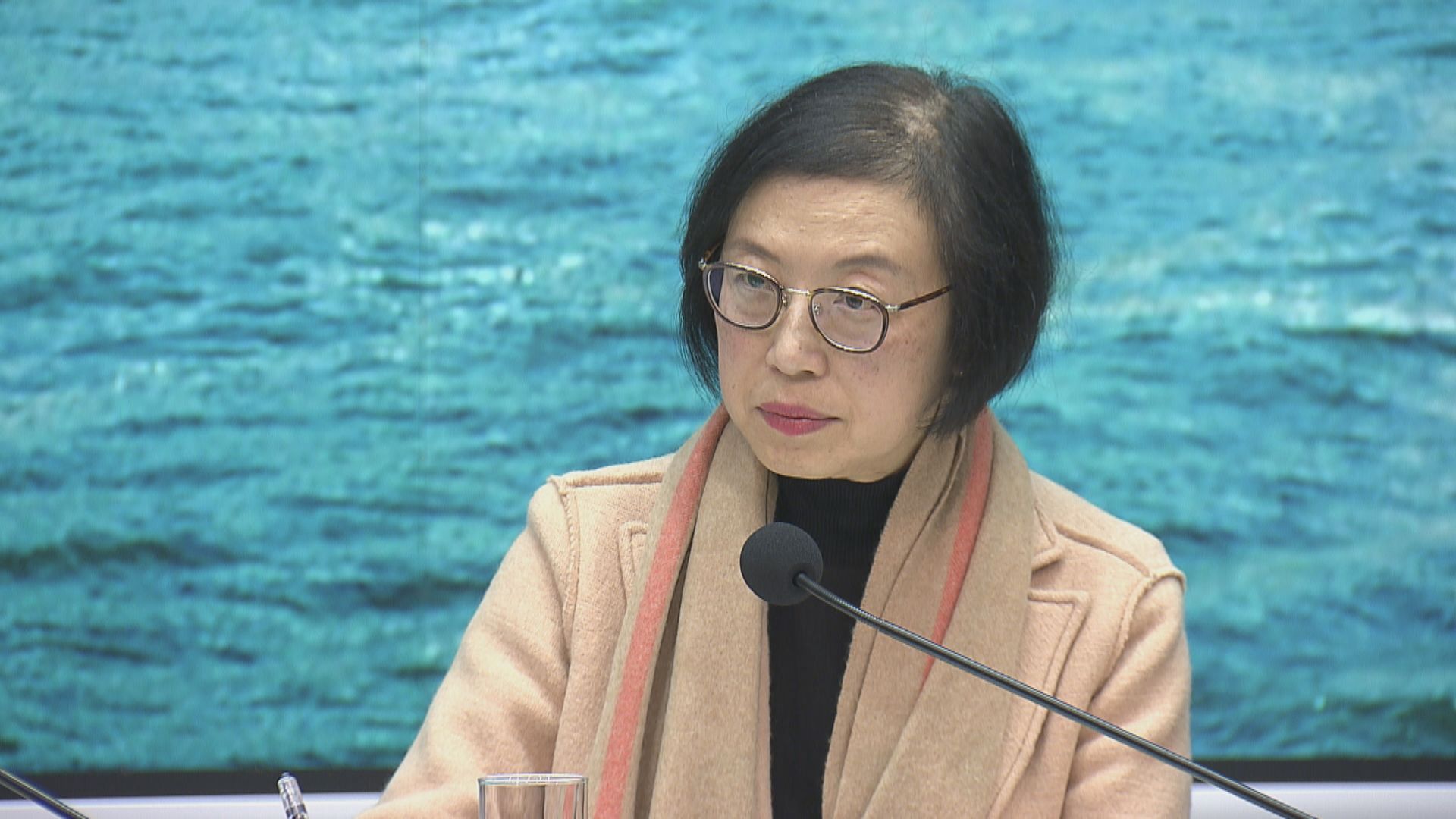 【最新】陳肇始：各口岸均設體溫探測站　能有效監察來港旅客情況